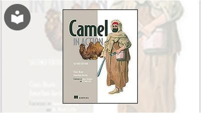 Camel in Action, Second Edition Book - EVERYONE - Skillsoft