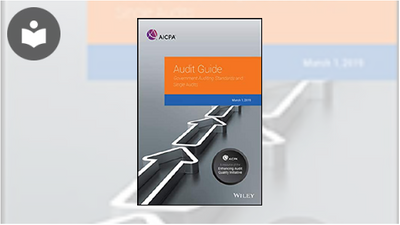 AICPA Audit Guide: Government Auditing Standards and Single Audits Book ...