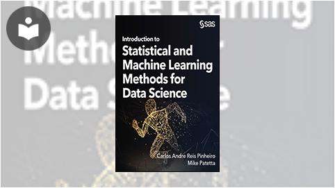 その他 DATA MINING AND STATISTICS FOR DECISION Data Mining and Statistics for Decision Making Book - EVERYONE