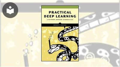 Practical Deep Learning: A Python-Based Introduction Book - EVERYONE ...