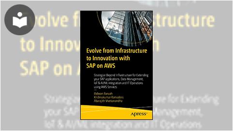 SAP Integrated Business Planning: Functionality and Implementation