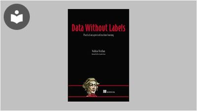 Data Without Labels: Practical Unsupervised Machine Learning Book ...