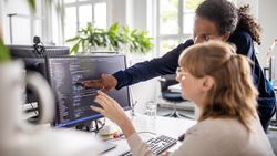 Web Programmer to Apprentice Programmer