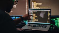 C Programming Proficiency